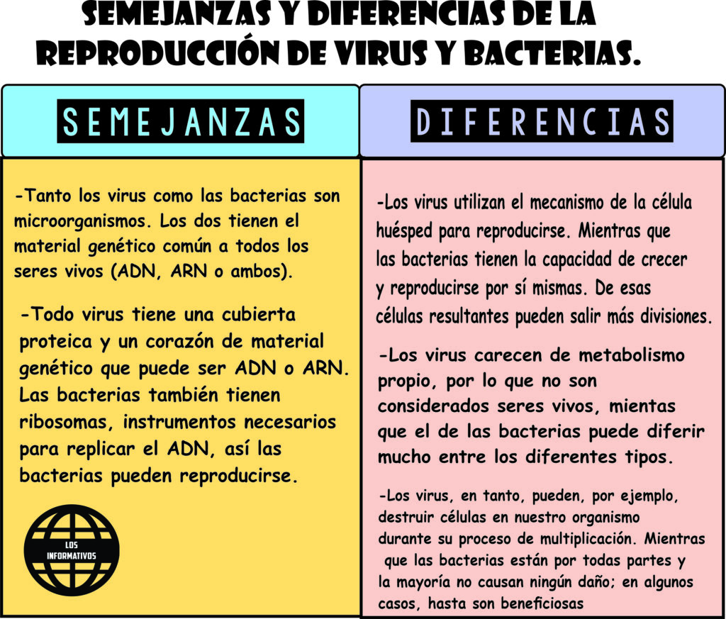 Es importante que desarrolles un cuadro comparativo sobre las semejanzas y diferencias de las características de cómo se reproducen los virus y las bacterias.