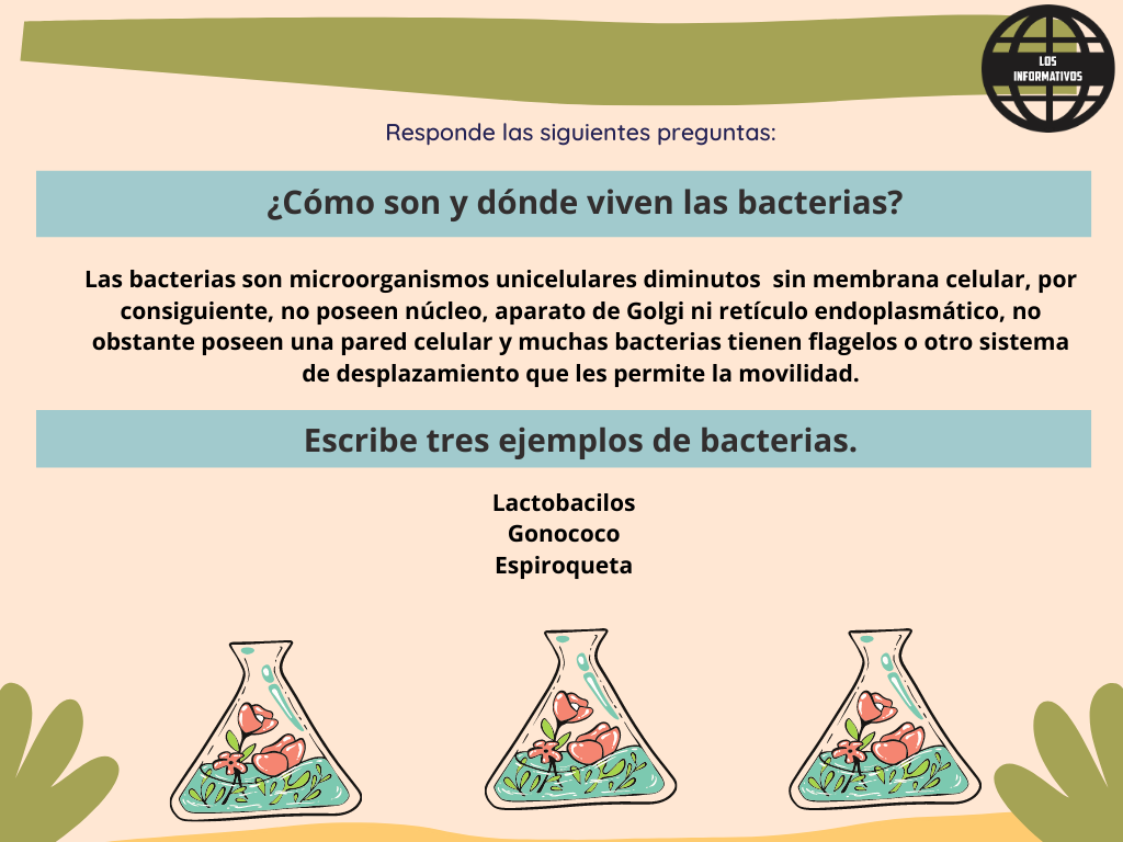 a) ¿Cómo son y dónde viven las bacterias?
Escribe tres ejemplos de bacterias