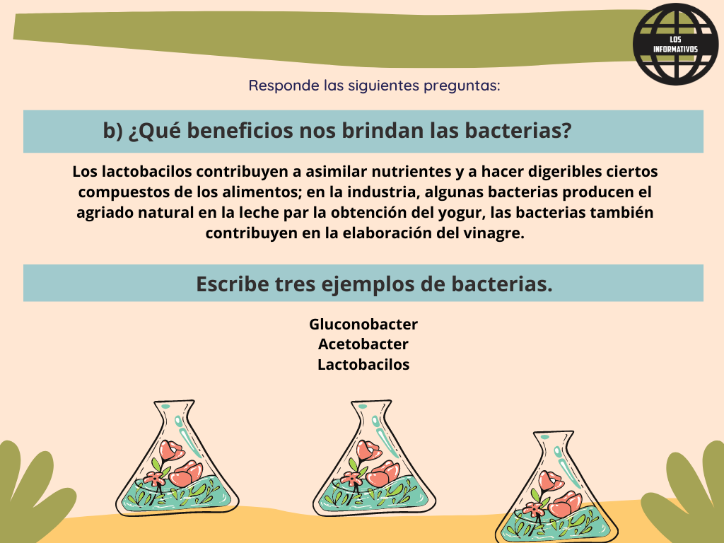 ¿Qué beneficios nos brindan las bacterias?
Menciona tres bacterias beneficiosas.