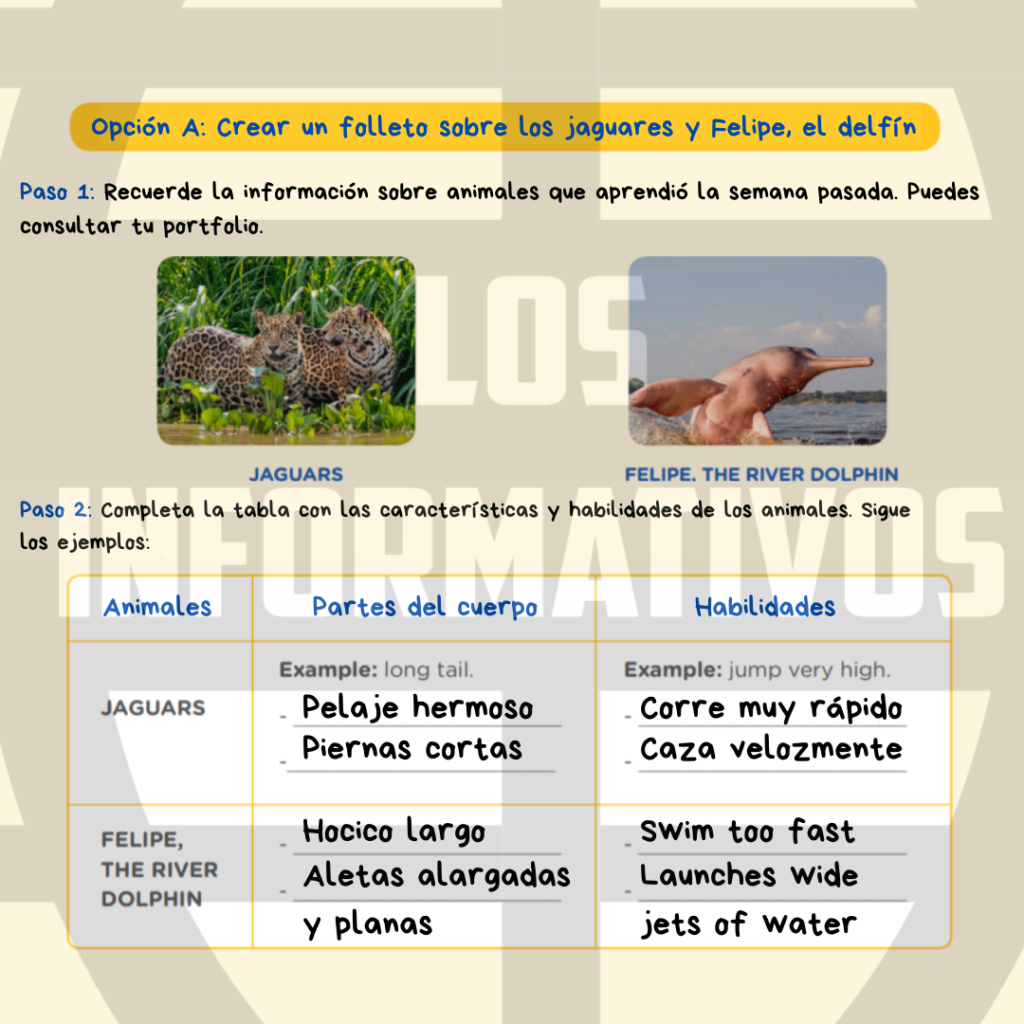 Option A: Create a brochure about the jaguars and Felipe, the dolphin. Step 1: Remember the information about animals you learned about last week. You can check your portfolio. Step 2: Complete the chart with the animals’ characteristics and abilities. Follow the examples: Step 3: Write sentences about the animals’ characteristics, abilities and some extra information if you want to. Step 4: Create your brochure and add pictures and a name for the rescue centre. Be creative! Option B: Create a brochure about two endangered animals from your region. You decide! Step 1: Choose two endangered animals from your region. Step 2: Complete the chart with the animals’ characteristics and abilities: Step 3: Write sentences about the animals’ characteristics and abilities: Step 4: Create your brochure and add pictures and a name for the rescue centre. Be creative!