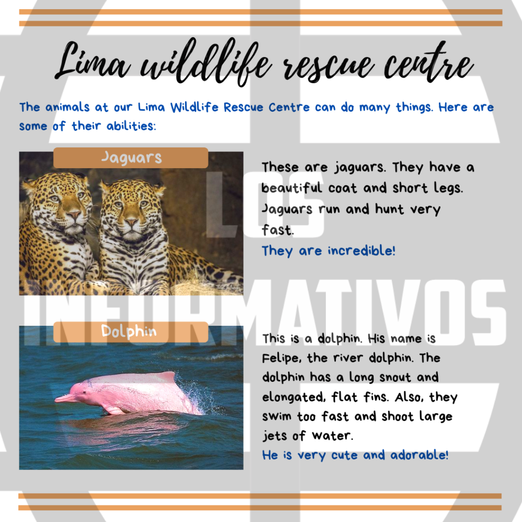 Option A: Create a brochure about the jaguars and Felipe, the dolphin. Step 1: Remember the information about animals you learned about last week. You can check your portfolio.  Step 2: Complete the chart with the animals’ characteristics and abilities. Follow the examples: Step 3: Write sentences about the animals’ characteristics, abilities and some extra information if you want to. Step 4: Create your brochure and add pictures and a name for the rescue centre. Be creative!  Option B: Create a brochure about two endangered animals from your region. You decide! Step 1: Choose two endangered animals from your region. Step 2: Complete the chart with the animals’ characteristics and abilities: Step 3: Write sentences about the animals’ characteristics and abilities: Step 4: Create your brochure and add pictures and a name for the rescue centre. Be creative!