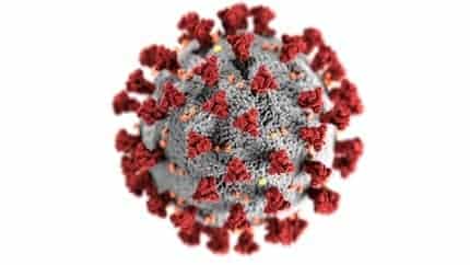 ¿Qué es la flurona? El extraño caso de doble infección de covid-19 y gripe