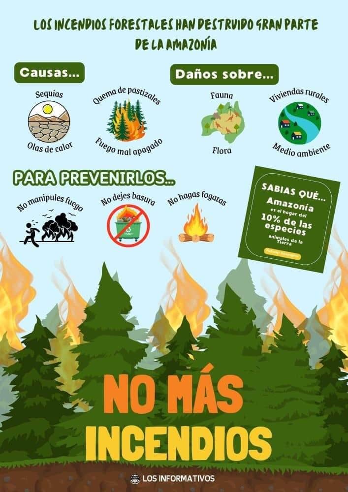 Infografía sobre los incendios forestales y el cuidado de los bosques